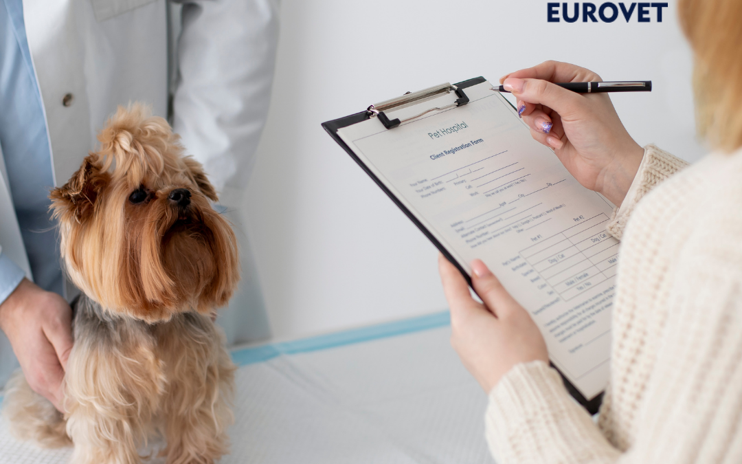 Veterinario revisando salud y peso de un perro